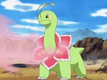 21 Fun And Fascinating Facts About Meganium From Pokemon - T