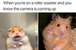 Screaming Hamster Meme - Captions Beautiful