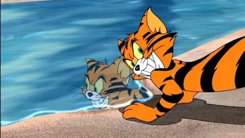Tom and Jerry Tiger fun episode part 1 - YouTube