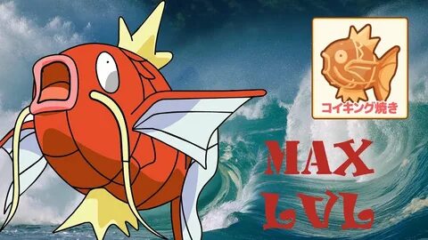 Max Lv Magikarp Biscuit Magikarp Jump - YouTube