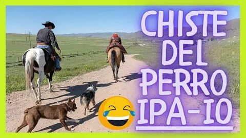CHISTE DEL PERRO -IPA IIO)) ðŸ¤  PILO CHISTES ðŸ¤£ EL MEJOR CHISTE
