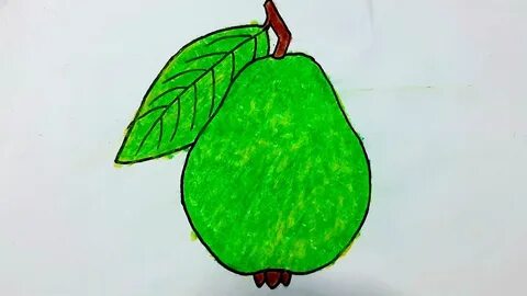 guava drawing step by step / how to draw a guava - YouTube