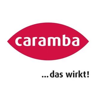 Caramba Zink-Spray 500 ml alu-hell (Reparatur... Dönges