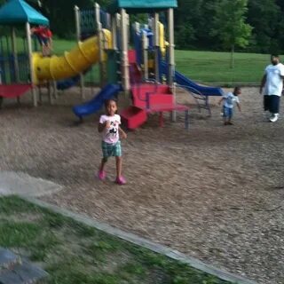 Bradley Park Playground - Peoria, IL