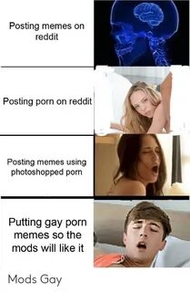Posting Memes on Reddit Posting Porn on Reddit Posting Memes