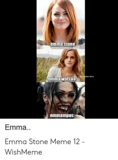🐣 25+ Best Memes About Emma Stone Cat Meme Emma Stone Cat Me
