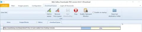 Web Gallery Downloader - How to download videos from SpankBa