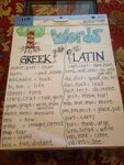 Root words anchor chart for Greek and Latin Teaching vocabul