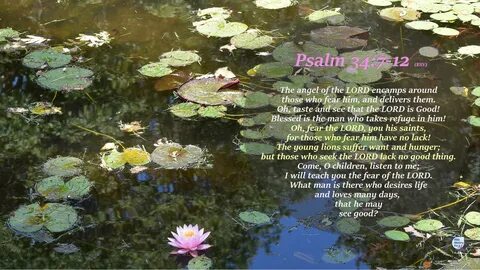 Psalm 34:11-12 - Bible Memory For All