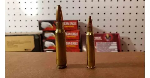 308 vs .223 for Hunting Whitetail Deer :: Guns.com