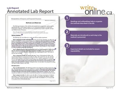 Lab Report Data Analysis Example And Write Online Lab Report Writing Guide Parts