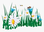 Flowers, Bees, Garden, Green, Grass, White, Daisy - Bees And