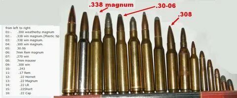 Quotes about Ammo (37 quotes)