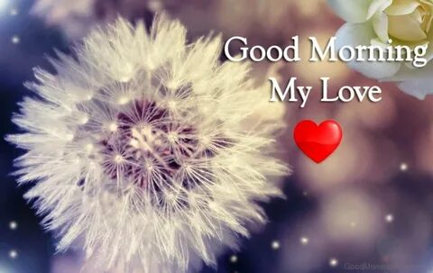 Love Sweetheart Good Morning Hd Images - img-oak