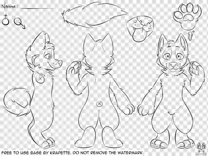 Reference sheet canine Free To Use, fox sketch transparent b