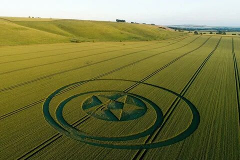 Inside the mystical world of crop circle tourism - Nexus New