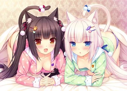 Wallpaper : Chocolat Neko Para, Vanilla Neko Para, Neko Para