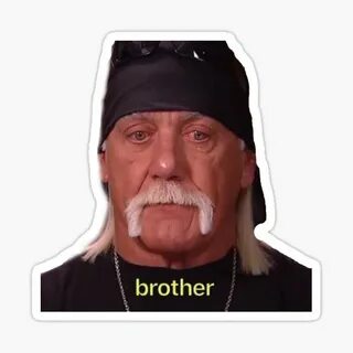 Hulk Hogan Meme