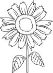 Pretty Sunflower Coloring Page - Sun Flower In Cartoon - (46