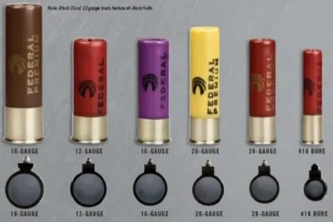 Buckshot Sizes 12 Gauge Ammo Size Chart : Shotgun Shell Size