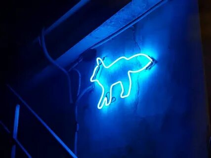 Neon fox runnin wild 🦊 #neon . 🎧 Österreich-無 能 Neon, Neon s