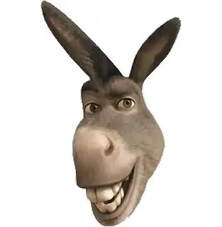 Funny Donkey Png : See more ideas about funny donkey picture