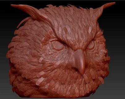3D model Owl Head CGTrader