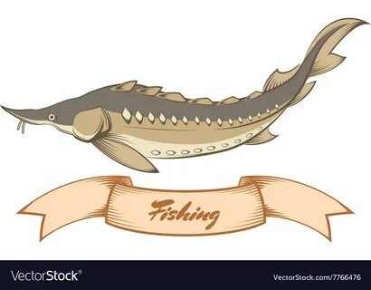 Sturgeon fishing banner Royalty Free Vector Image