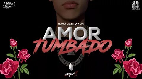 Vida Recia FX - Amor Tumbado - Natanael Cano Video Lyric Fac