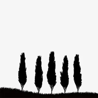 The best free Cypress silhouette images. Download from 36 fr