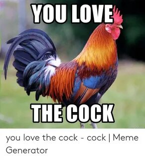 YOU LOVE THE COCK Memegeneratornet You Love the Cock - Cock 