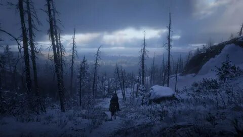 Red Dead Redemption 2 Snow