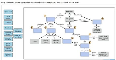 Meiosis Terminology Concept Map Masteringbiology World Map G