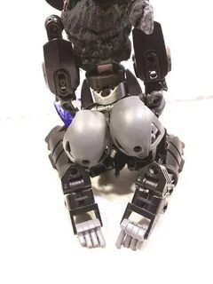 bionicle girl dump