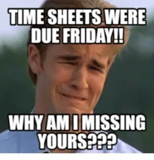 TIME SHEETS WERE DUE FRIDAY WHY AMI MISSING YOURS Amy Meme o