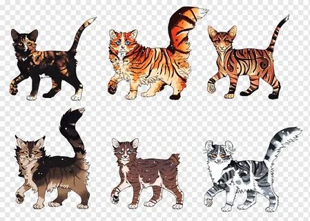 Kitten, Cat, Wildcat, Tiger, Animal, Warriors, Adoption, Cre