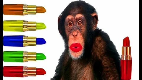 Learn Colors With Monkey Lipstick Finger Family Song Nursery