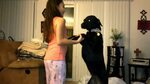 Girl taught her sweet dog some tricks - YouTube