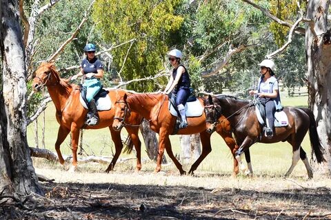 Trail rides and Equestrian Events - Kirby Park Stud