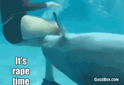 Yep That Sure Is Someone Sucking Off A Dolphin