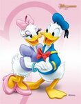 Donald Duck & Daisy Diversão disney, Papeis de parede mickey