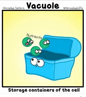 Vacuole (@Avery77_Vacuole) Твиттер