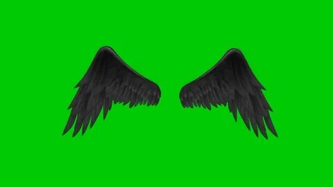 Green Screen wings/Angels/flapping 7