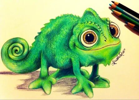 Drawn chameleon tangled lizard - Pencil and in color drawn c