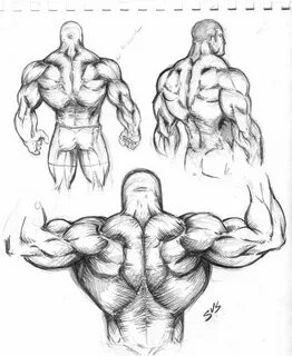 Drawn man muscular male - Pencil and in color drawn man musc