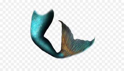 Mermaid Tail Transparent Background - Clip Art Library