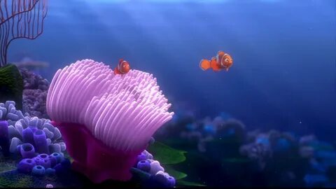 Finding Nemo - Disney Photo (33586163) - Fanpop