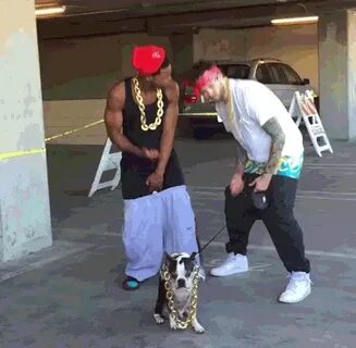Does your chain hang low... - GIF on Imgur