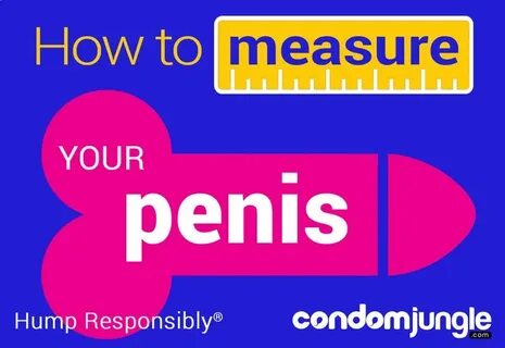 Calculate my penis size Penis Size: The Truth About How You 