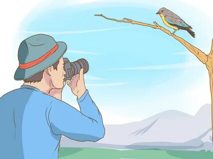 How to Bird Watch (with Pictures) - wikiHow